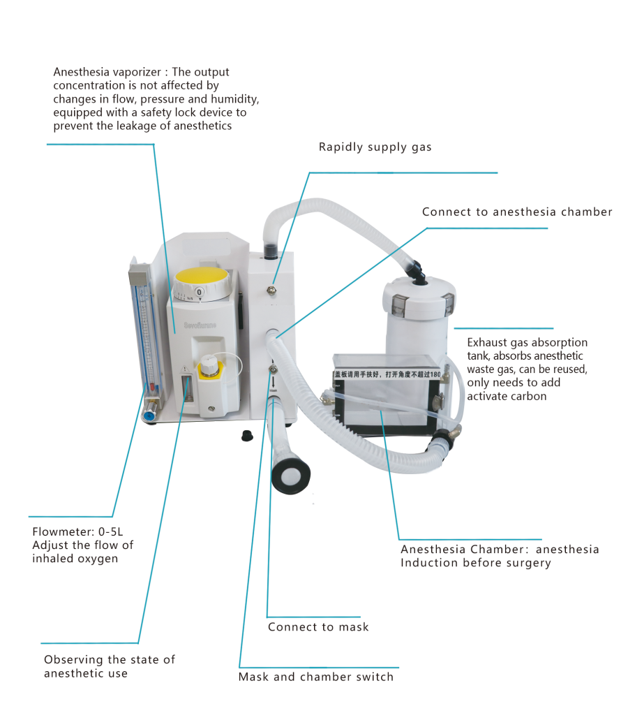 How to Use Dolphinmed DL8 Lab Anesthesia Machine